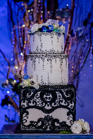 George and Jana's wedding at Monaco Hotel and Pierpont Place-2371