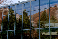 Red Butte Gardens 3-5-15-8245
