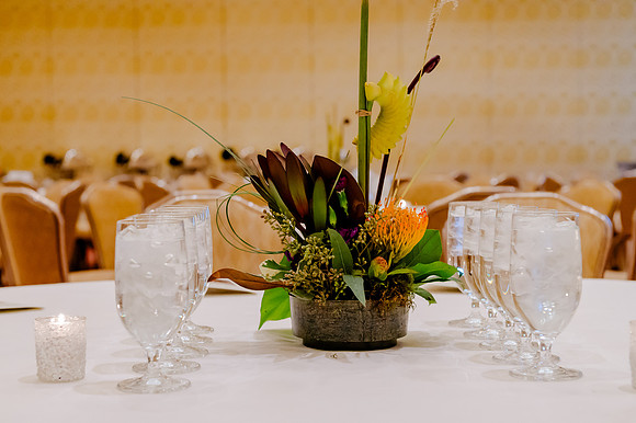 Celebration of Life for Dr. William Iyeo Higuchi: A Timeless Tribute at the Grand America Hotel