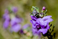 Wedding at Entrada29597