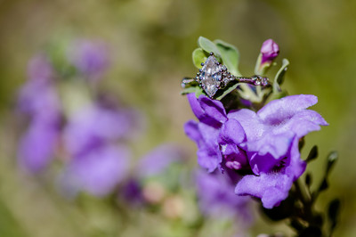 Wedding at Entrada29597