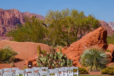 Wedding at Entrada29819