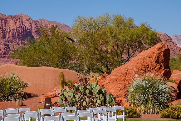 Wedding at Entrada29819