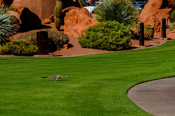 Wedding at Entrada29886