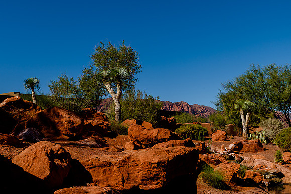 Wedding at Entrada29950