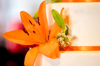 Wedding Alice and Trent 4-21-18