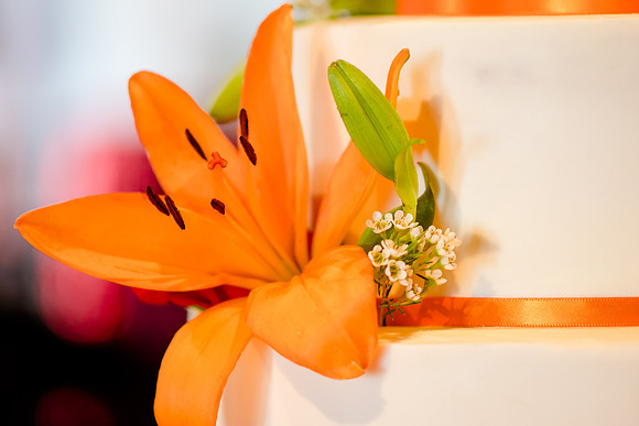 Pierpont Place Wedding Details-2166