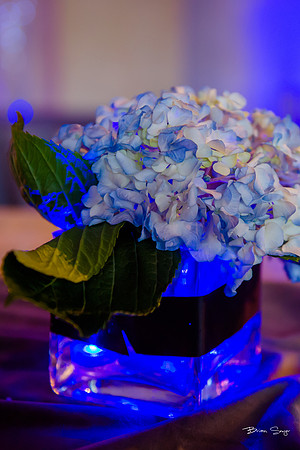 George and Jana's wedding at Monaco Hotel and Pierpont Place-1390