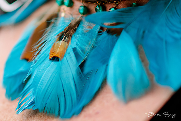 Birdlesque55400