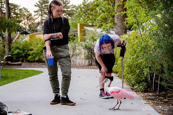 Birdlesque55923