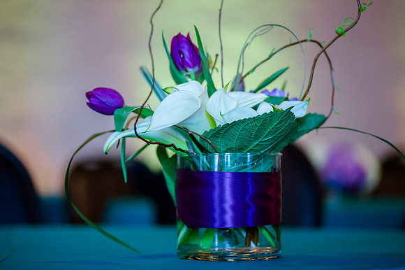 3-26-18 Pierpont Place-1628