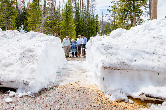 now in June: Megan Collins and Seth Underwood's Mountain Wedding