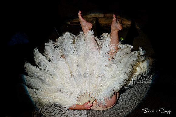 Birdlesque56079