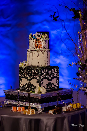 George and Jana's wedding at Monaco Hotel and Pierpont Place-3167
