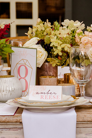 Bride Inspiration at Cactus and Tropicals-PC Smyer Image-7383