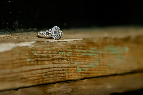 Bride Inspiration at Cactus and Tropicals-PC Smyer Image-6888