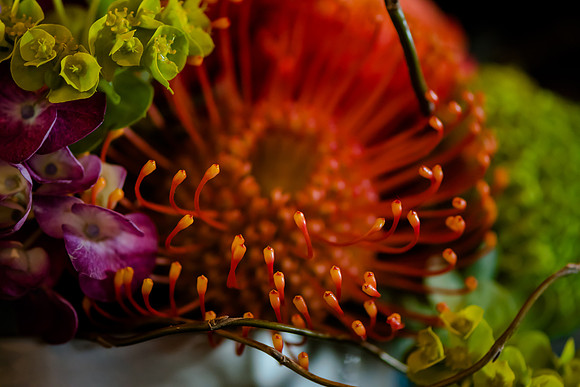 Pierpont Place Wedding Details-2188