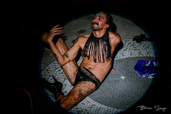 Birdlesque56883
