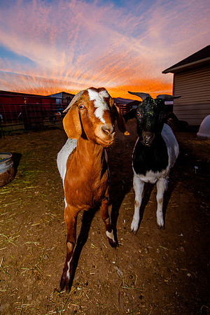 slcphotographer.com (18 of 23)