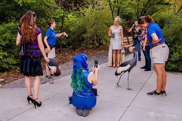 Birdlesque55864