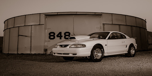 Race Car Mustang-0861