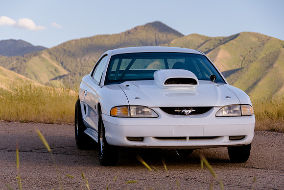 Race Car Mustang-1557