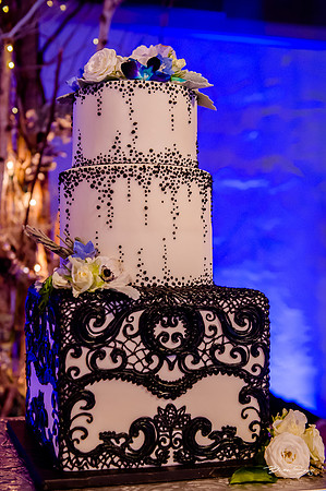 George and Jana's wedding at Monaco Hotel and Pierpont Place-2090