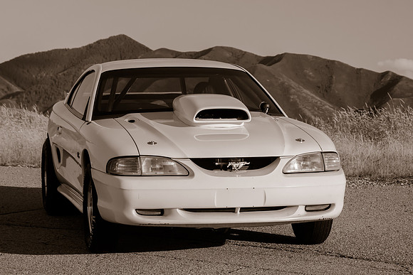 Race Car Mustang-1606