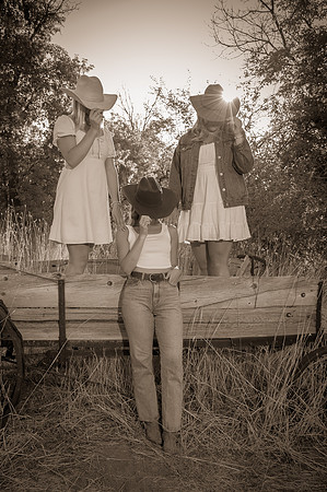 Family Portraits at Wheeler Farm: Alicia Peterson's Blended Family in the Glow of Sunset