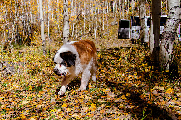 One Year of Skateboarding: A Road Trip Through Colorado’s Skate Parks and Scenic Wilderness