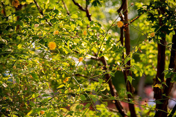 Ready to Hatch – Tracy Aviary’s Signature Spring Fundraise5552
