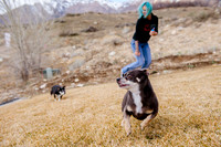 pets (124 of 271)
