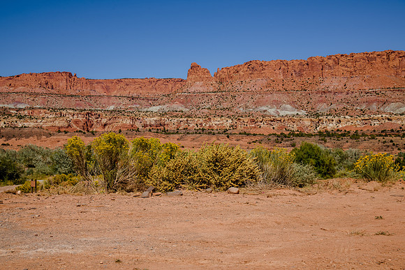 _DSC8295