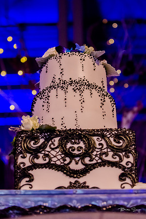 George and Jana's wedding at Monaco Hotel and Pierpont Place-2097