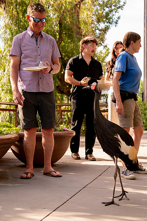 Ready to Hatch – Tracy Aviary’s Signature Spring Fundraise5485