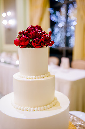Keith and Leah Wedding 12-18-16-0555
