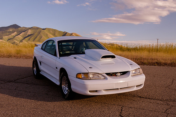 Race Car Mustang-1589