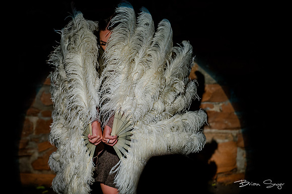 Birdlesque56010