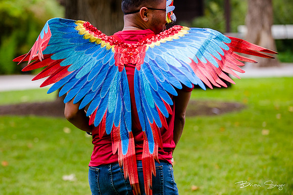 Birdlesque55779