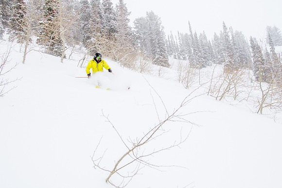 Phil Cannon at Snowbasin 1-12-17-9037