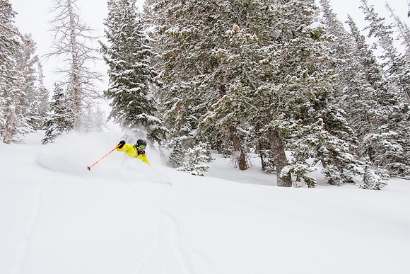 Phil Cannon at Snowbasin 1-12-17-9066