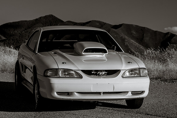 Race Car Mustang-1604