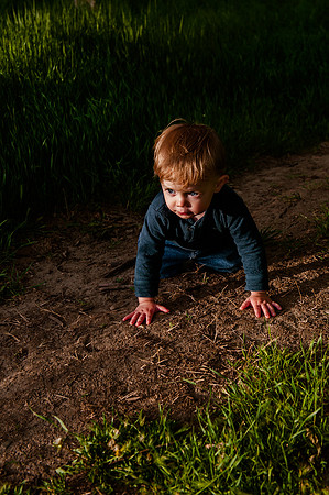 Wheeler Farm-2539