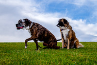 Stark_DSC0208