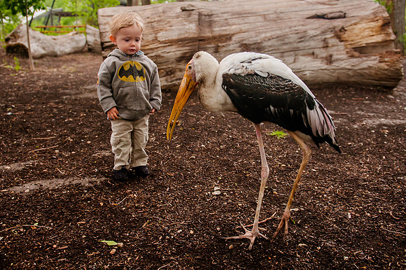 Family Outing at Tracey Aviary-1788