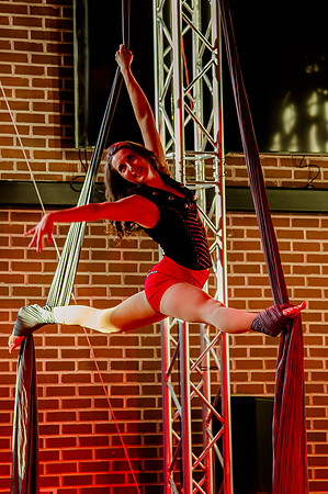 Kiki Cabaret 39498