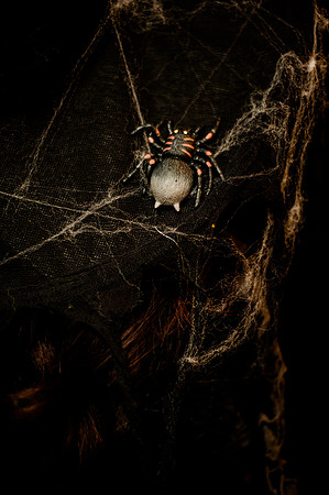 Herrmann Halloween-1402