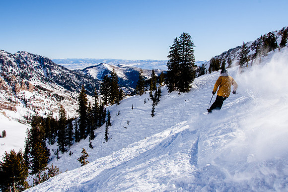 Kelton Philpt at Snowbird_DSC8498