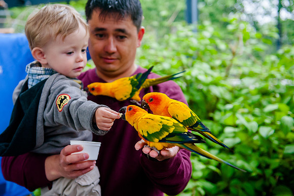 Family Outing at Tracey Aviary-1620