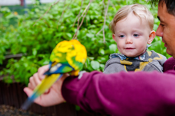 Family Outing at Tracey Aviary-1700